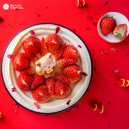【送蝴蝶酥6片装】招财喵 HAPPY NEW YEAR 商品图6