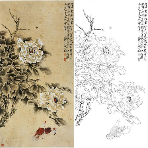 于非闇竖幅工笔花鸟白描底稿-鸽子-牡丹双鸽-YF82 商品图0