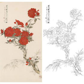 于非闇竖幅工笔花鸟白描底稿《映雪花红》-多种白描尺寸可选-YF77