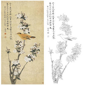 于非闇竖幅工笔花鸟白描底稿-海棠花黄鹂-YF80