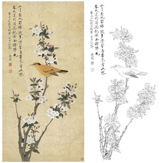 于非闇竖幅工笔花鸟白描底稿-海棠花黄鹂-YF80 商品图0
