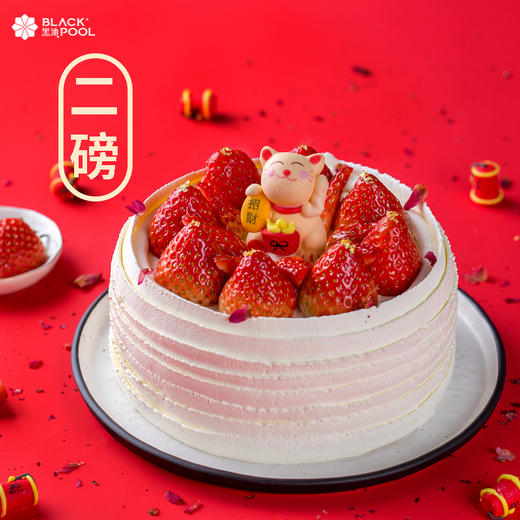 【送蝴蝶酥6片装】招财喵 HAPPY NEW YEAR 商品图4