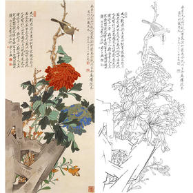 于非闇竖幅工笔花鸟白描底稿《富贵白头》-多种白描尺寸可选-YF78
