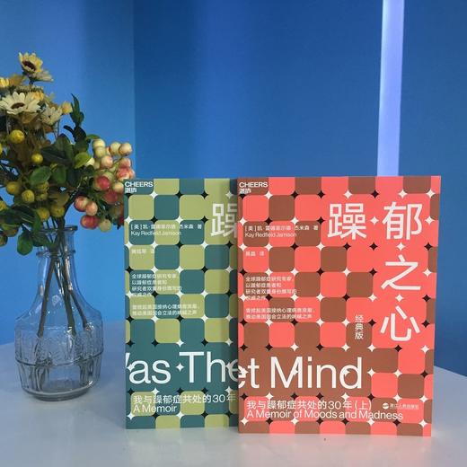 湛庐┃躁郁之心 上下册  共2册 商品图1