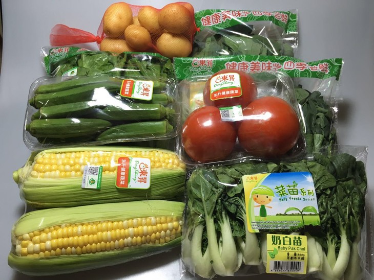 【包邮】东升蔬菜套餐(菜心芽2包,奶白苗2包,生菜1包,番茄1包,秋葵1包