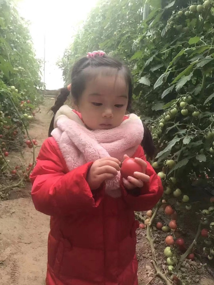 微信图片_20181226111358.jpg