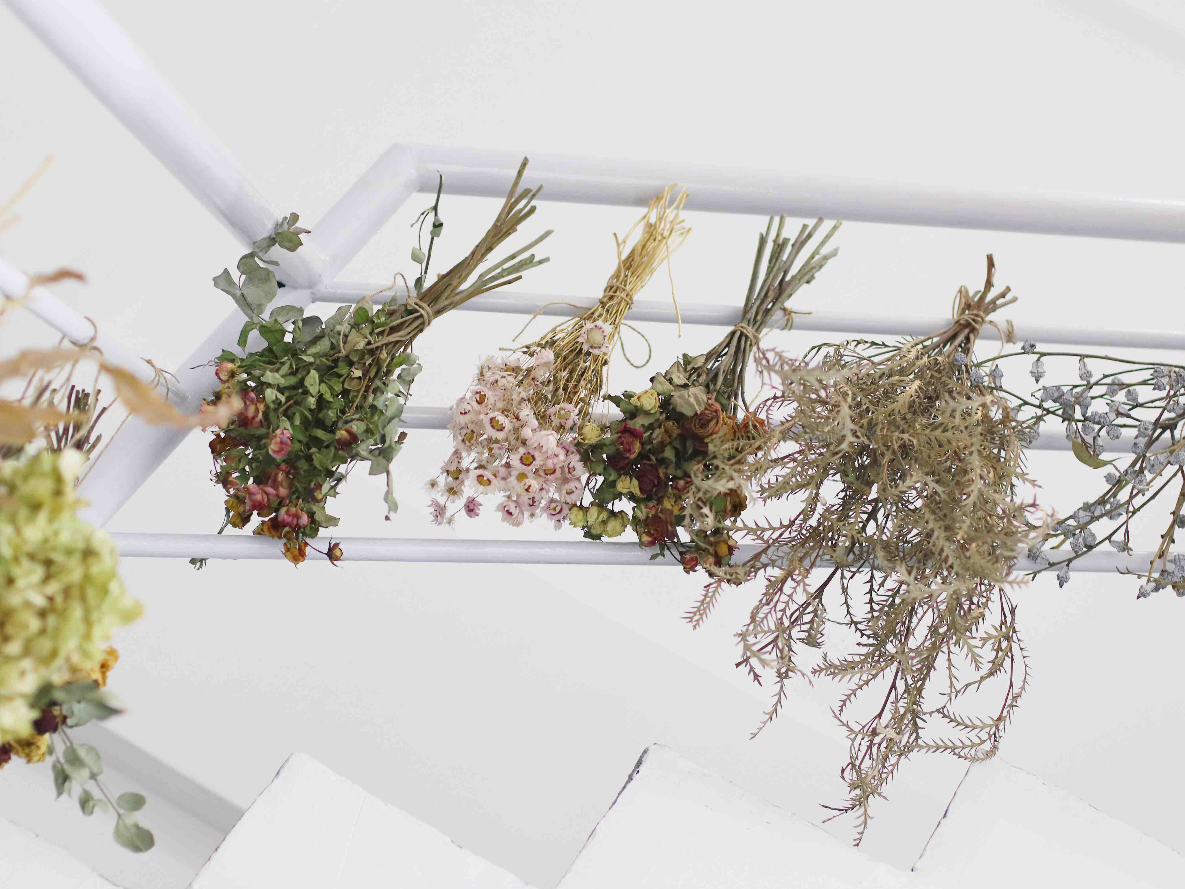 天然风干干花（5-10支）仅限自提