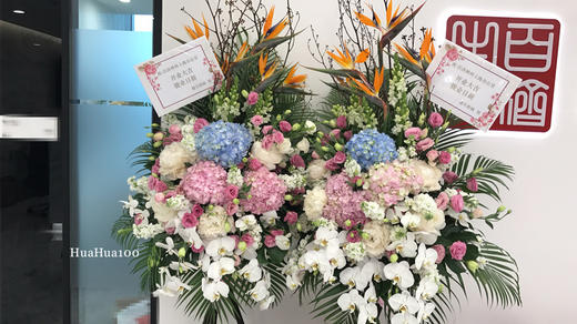 开业花篮丨高端系列009（1299/个，订一对送同色系小瓶花2个） 商品图1