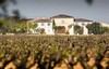 博卡索庄园干红葡萄酒2016CHATEAU DE BEAUCASTEL 商品缩略图3