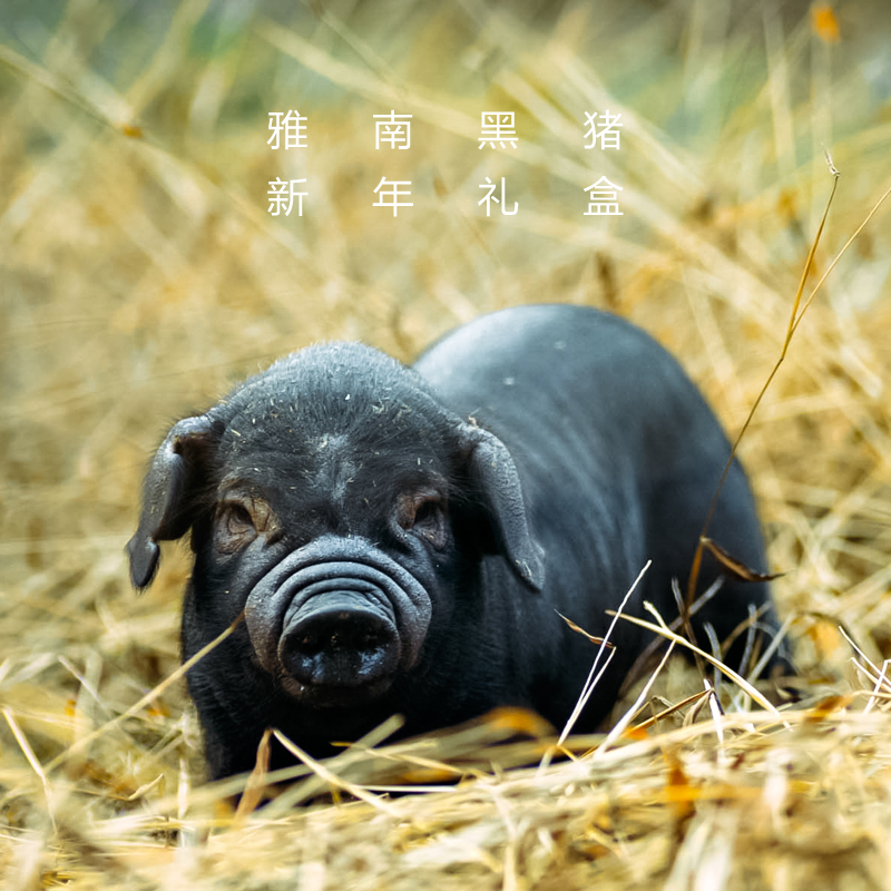 雅南黑猪肉新年礼盒