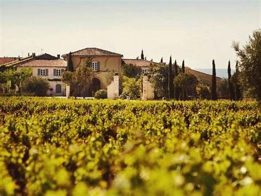 博卡索庄园干红葡萄酒2016CHATEAU DE BEAUCASTEL 商品图4