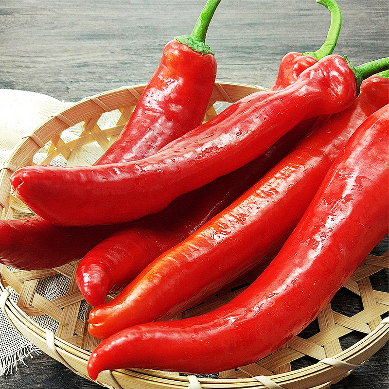 大红椒 (2019红红火火 4根装) 约350g/份