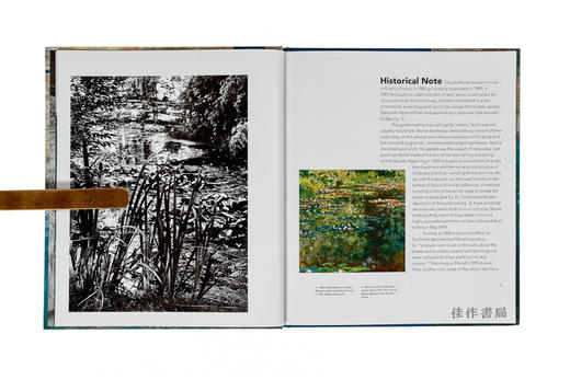 Claude Monet: Water Lilies 莫奈：睡莲 商品图3