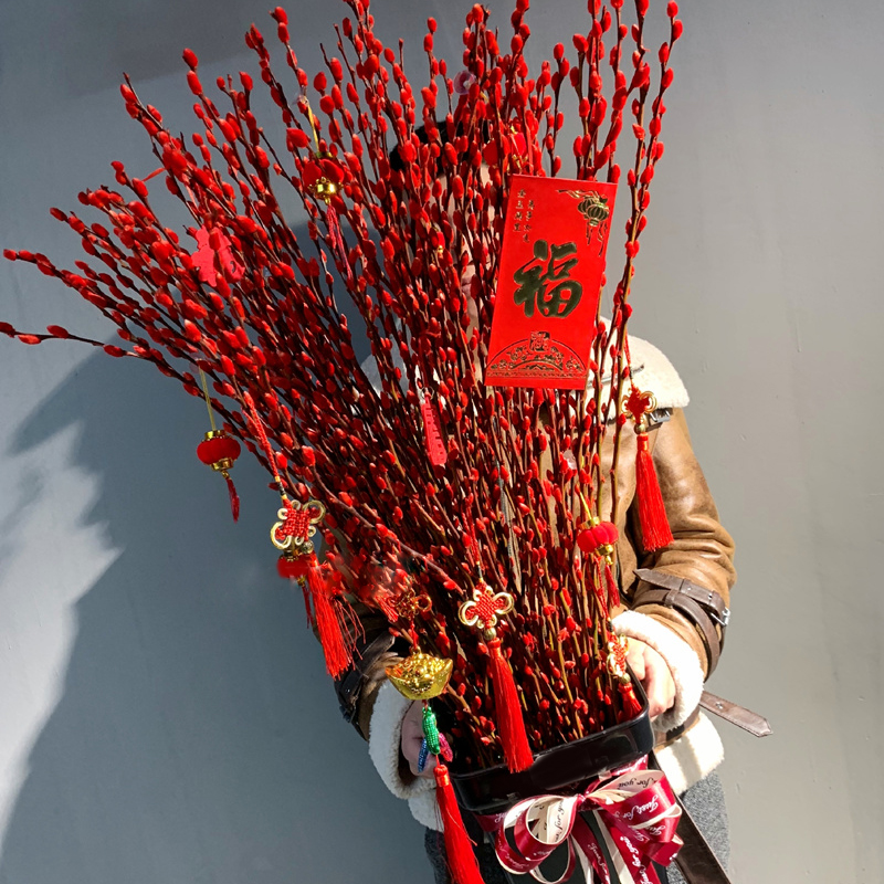 68枝银柳花盆栽含盆-年宵年货春节花彩色鲜枝真花冬季花卉旺财之花