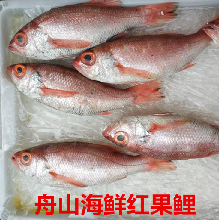 【壹go鲜】舟山海产品 冰鲜鱼类 红果鲤(预定)(价格为