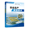 安全生产典型技术 商品缩略图0