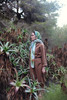 PALMITO scarves 商品缩略图2