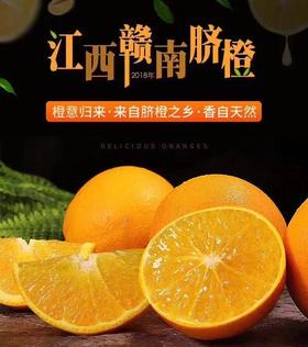 江西赣南脐橙/10斤（包邮）