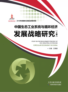 中国生态工业系统与循环经济发展战略研究