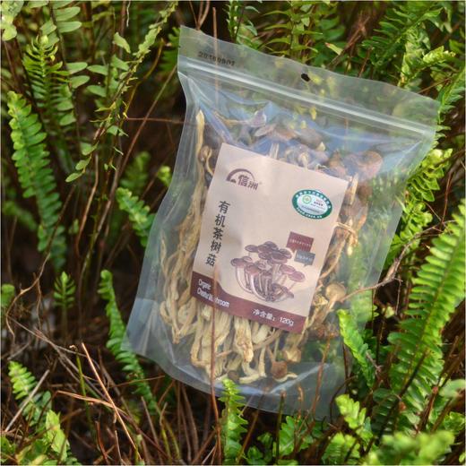 有机茶树菇120克 包邮 | 浙江丽水 信洲 商品图1