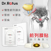 DR.ROTUS磁热疗贴前列腺贴 男性 慢性前列腺炎贴辅助 尿频尿急尿不尽 商品缩略图3