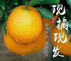 江西赣南脐橙/10斤（包邮） 商品缩略图2