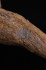 炉种圣品/富森红土纯肉特别版/小克重，仅剩6块/让每位想拥有富森红土的人买红土不再靠赌性 商品缩略图1