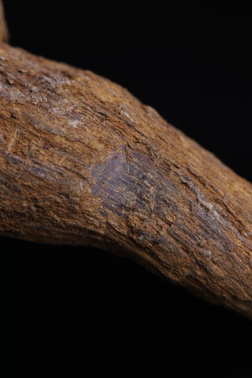 炉种圣品/富森红土纯肉特别版/小克重，仅剩6块/让每位想拥有富森红土的人买红土不再靠赌性 商品图1