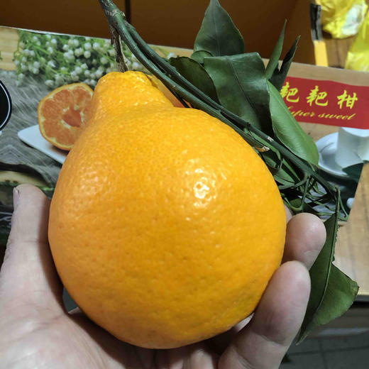 耙耙柑春见，特惠。丑橘都是它的名字，果皮又薄又软，橙黄圆润的果皮，吃起来让人惊艳不已，它是柑，吃多了不上火。 商品图4