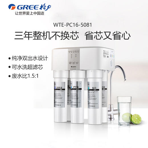 格力3年三年不换芯净水器WTE-PC16-5081家用直饮RO反渗透纯水机 商品图0
