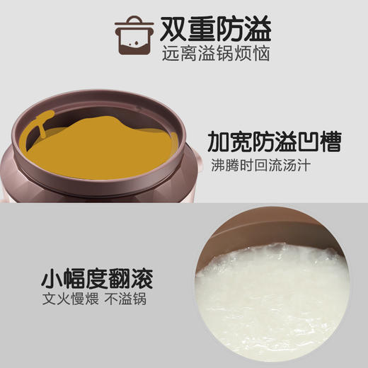 小熊（Bear）电炖锅电炖盅电砂锅紫砂锅煲汤锅炖汤锅煮粥大容量全自动4L DDG-D40F1 商品图4