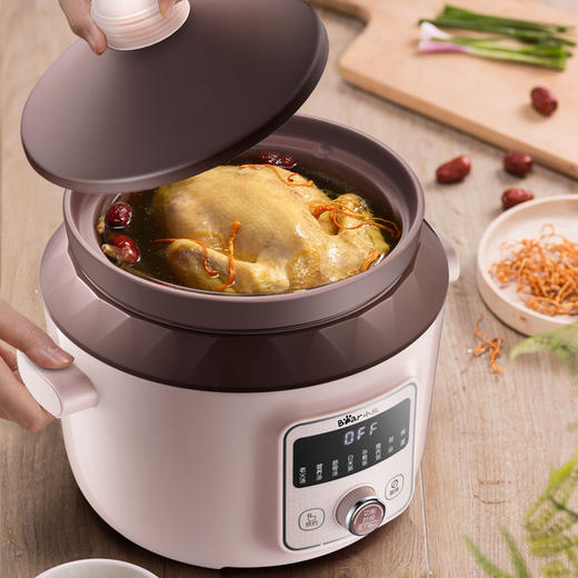 小熊（Bear）电炖锅电炖盅电砂锅紫砂锅煲汤锅炖汤锅煮粥大容量全自动4L DDG-D40F1 商品图1