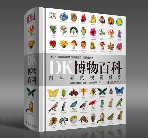 《DK博物大百科》5000物种，6000摄影师作品，623页 商品图3