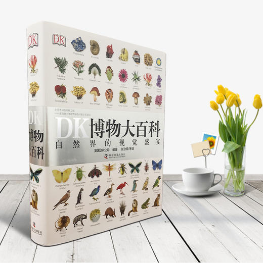 《DK博物大百科》5000物种，6000摄影师作品，623页 商品图1