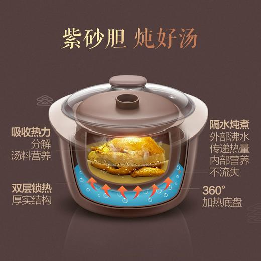 Bear/小熊 DDZ-A35W8(黄小厨)紫砂电炖盅家用隔水炖全自动电炖锅 商品图2