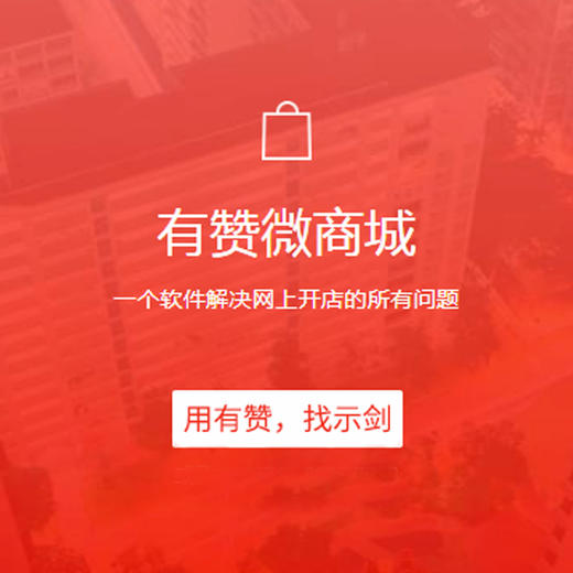 有赞微商城基础版、专业版、旗舰版系统成熟、功能强大、安全稳定。售后无忧 商品图2