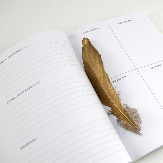 642件可写的事 停不下来的创意冒险（每个人都需要的创意笔记 颠覆传统写作方式，怎么写都可以的减压利器！） 商品图3