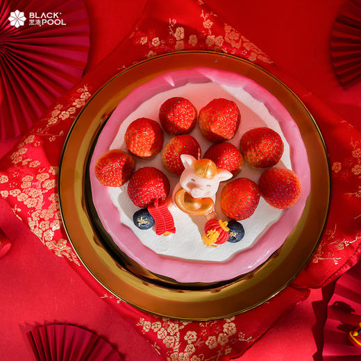 招财进宝 HAPPY NEW YEAR 商品图3
