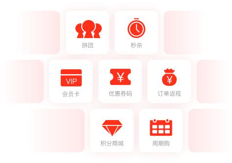 有赞微商城基础版、专业版、旗舰版系统成熟、功能强大、安全稳定。售后无忧 商品图4