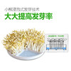 Bear/小熊 DYJ-A02A1豆芽机家用全自动正品双层大容量增压倍育 商品缩略图1