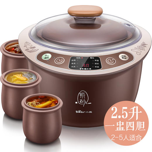小熊（Bear） DDZ-C25Z2煲汤电炖锅 隔水炖电炖盅 煮粥紫砂炖锅 2.5升 褐色 商品图0