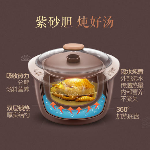 小熊（Bear）电炖锅 京东自营 隔水炖盅紫砂煲炖汤锅熬粥全自动3.5L五胆DDZ-A35M5 商品图4