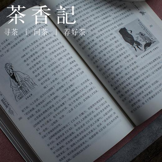 茶香记《盛世遗响：<汉书>纵览新说》张昊苏著《汉书》导读  图文并茂 商品图3