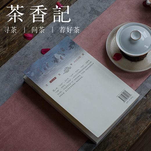 茶香记《盛世遗响：<汉书>纵览新说》张昊苏著《汉书》导读  图文并茂 商品图4