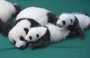 lulu33 商品缩略图0