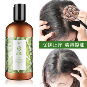 头发不痒！【迷迭香除螨止痒洗发水】迷迭香抑制头螨滋生  植物控油 拯救受损头皮