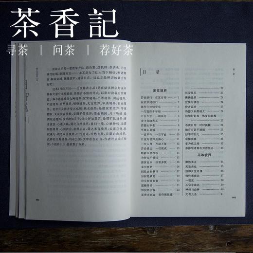 茶香记《月印万川——历代小品禅语》 禅宗公案  中华传世小品 商品图4