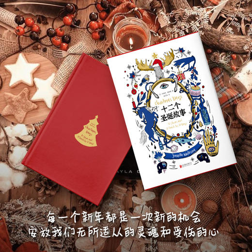 十二个圣诞故事 珍妮特·温特森著 文学 商品图2