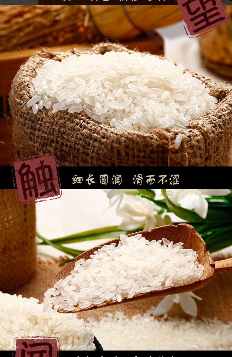 十月稻田 五常稻花香5kg 寒地之最 黄金产地 东北稻花香大米