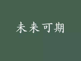分销员